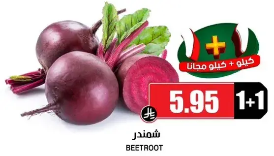 شمندر