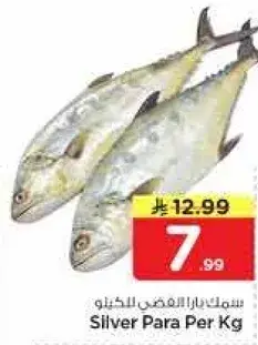 سمك بارا الفضي لكل كيلو