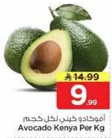 افوكادو كيني لكل كجم