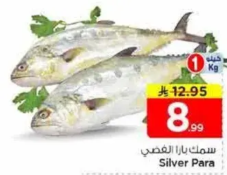 سمك بارا الغضبي