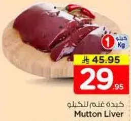 كبده غنم للكبد
