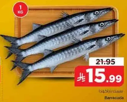 سمك باراكودا 1 كجم