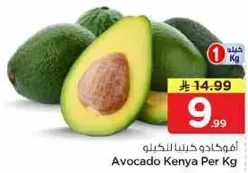 افوكادو كينيا لكل كيلو