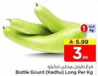 قرع زجاجي طويل لكل كيلو