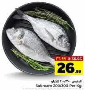 سمك سابريم، 200/300 جرام لكل كيلو.