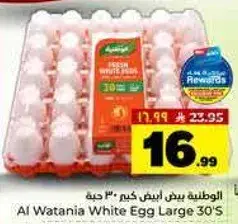 الوطنيه بيض ابيض كبير 30 حبه