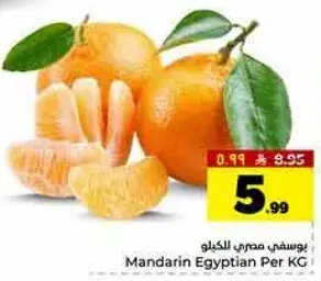 يوسفي مصري للكilo