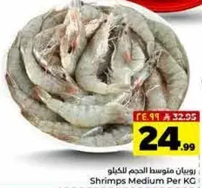روبيان متوسط الحجم للكغلو
