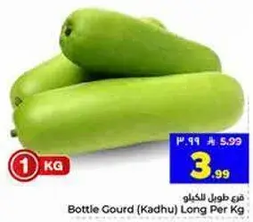 قرع طويل للكغ