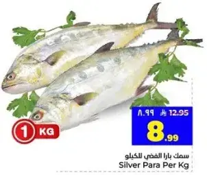 سمك بارا الفضي للكilo