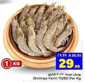 روبيان مزرعه 70/80 للكilo