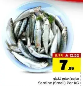 ساردين صغير للكيلو