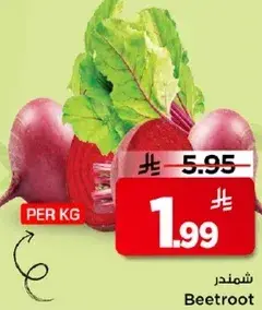 شمندر