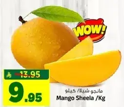 مانجو شيلاء / كيلو