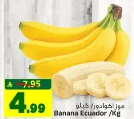 موز اكوادور / كيلو
