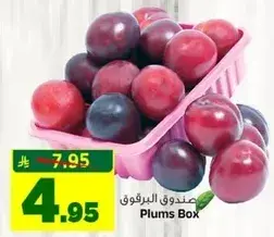 صندوق البرقوق