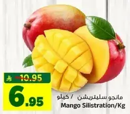 مانجو سيلترشن/كيلو