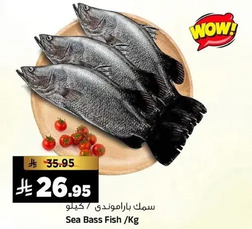 سمك باراموندي /كيلو