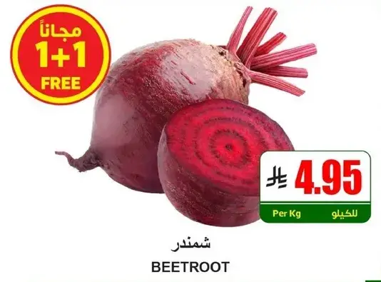شمندر