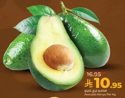 افوكادو كينيا لكل كيلو