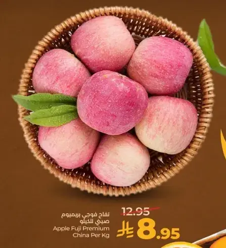 تفاح فوجي بريميوم من الصين لكل كيلو