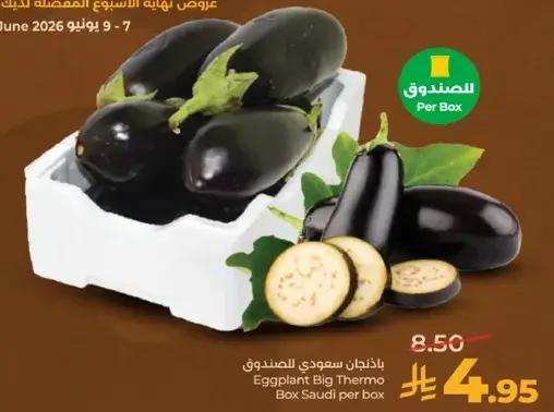 باذنجان سعودي ثيرمو صندوق لكل صندوق