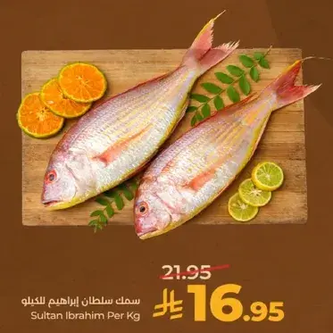 سمك سلطان ابراهيم لكل كيلو