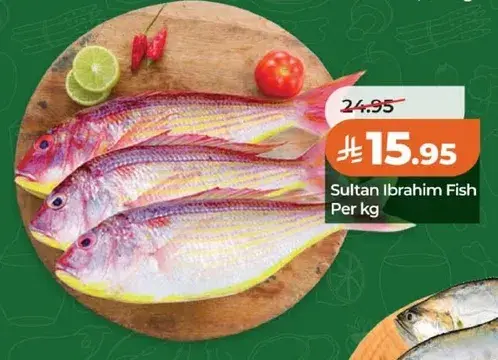 سمك سلطان ابراهيم، لكل كيلو