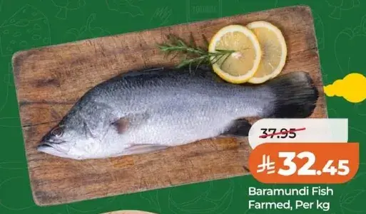 سمك الباراموندي المربي لكل كيلو