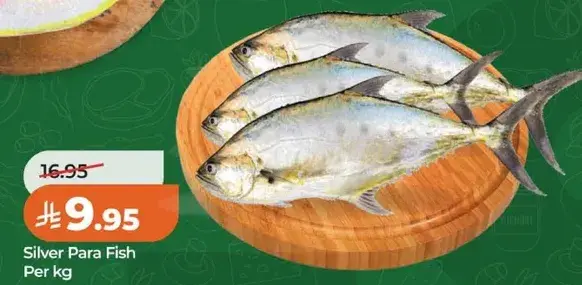 سمك بارا فضي لكل كيلو