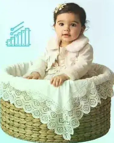 بيبي جوي-زيتون-مقاس (3) صندوق صباحا