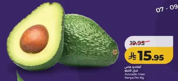 افوكادو هاس كيني لكل كيلو