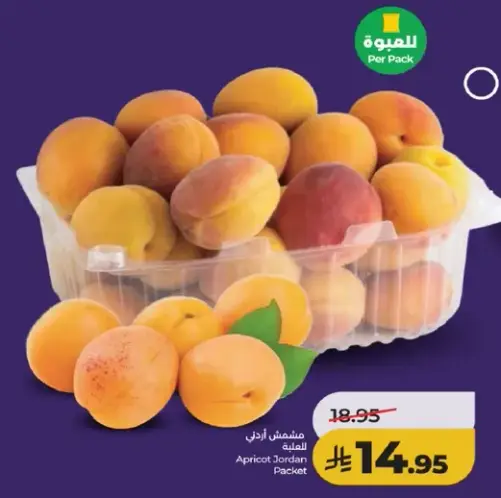 مشمش اردني في علبه