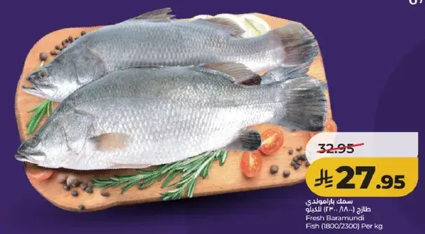 سمك باراموندي 1800/2300 الكيلو