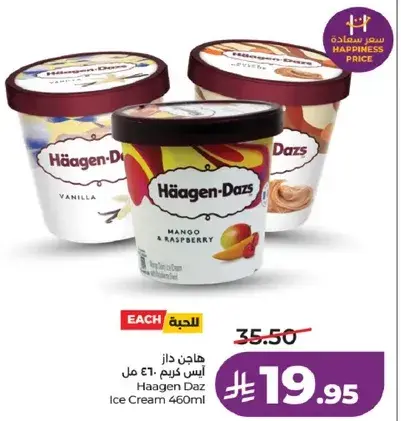 هاجن داز ايس كريم 460 مل