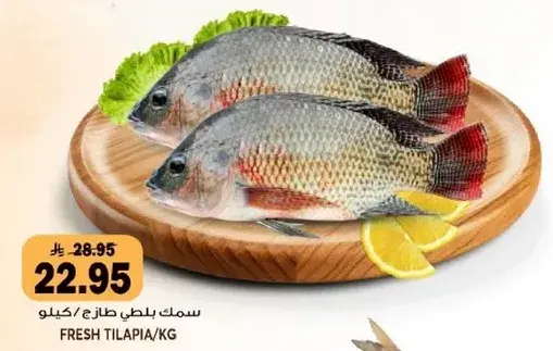 Fresh Tilapia per kg