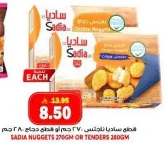 قطعه ساديا ناجتس 270 غم