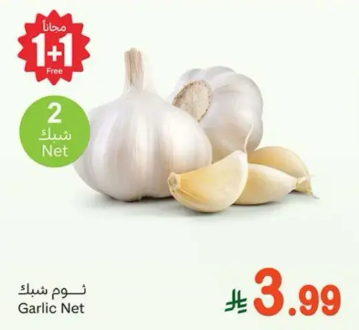ثوم شبك