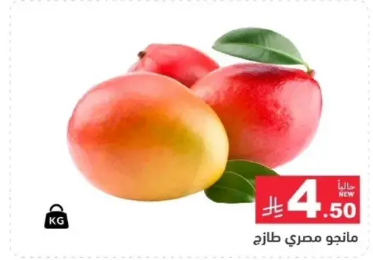 مانجو مصري طازج