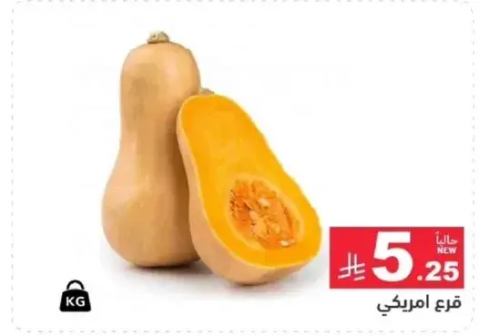 American squash