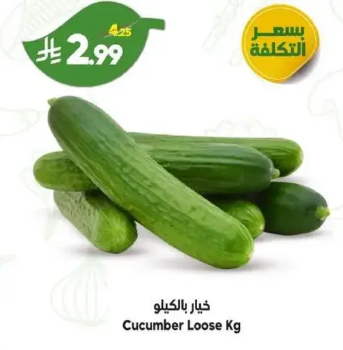 خيار بالكيلو.