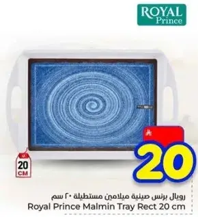 رويال برنس صينيه مالمين مستطيله 20 سم