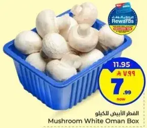 الفطر الابيض للكيلو