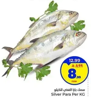 سمك بارا الفضي للكيلو