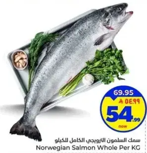 سمك السلمون النرويجي الكامل للكيلو