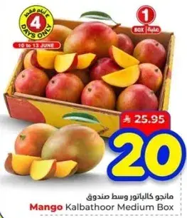 Mango Kalbathoor Medium Box