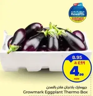 جرومارك باكنجان فاتر بالصندوق