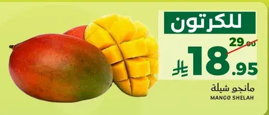 مانجو شيله