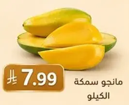 مانجو سمكه الكيلو