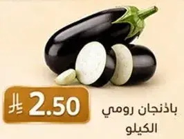 باذنجان رومي